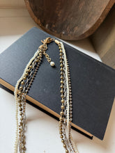 Load image into Gallery viewer, Lustrous Chico's Necklace
