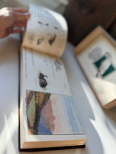 Load image into Gallery viewer, Muriel Foster's Fishing Diary
