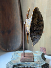 Load image into Gallery viewer, Snapper Turtle Shell on Stand
