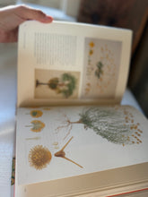 Load image into Gallery viewer, Voyages Of Discovery Book

