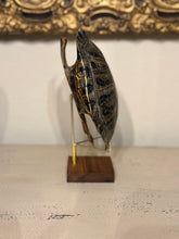 Load image into Gallery viewer, Turtle Shell on Stand
