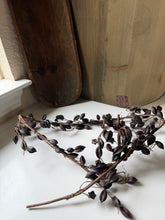 Load image into Gallery viewer, Pod Garland
