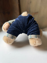 Load image into Gallery viewer, Country Bear
