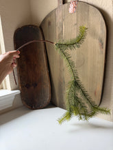 Load image into Gallery viewer, Weeping Spruce Stem
