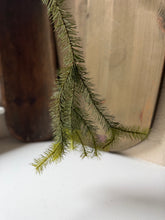 Load image into Gallery viewer, Weeping Spruce Stem
