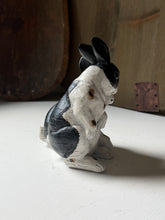 Load image into Gallery viewer, Black &amp; White Bunny Pair
