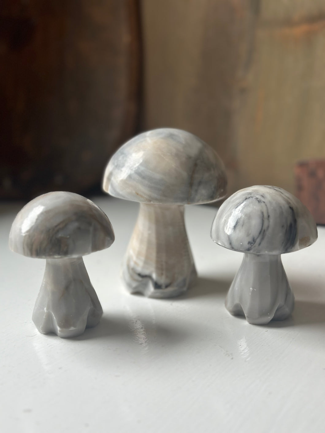 Collection of Alabaster Mushrooms