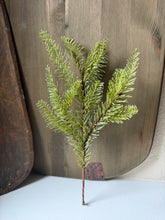 Load image into Gallery viewer, Medium Pine Stem

