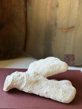 Load image into Gallery viewer, Vintage White Catspaw Coral
