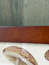 Load image into Gallery viewer, Framed Mushroom Botanical Print
