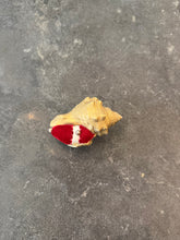 Load image into Gallery viewer, Vintage Gold Shell Pin Holder
