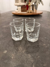 Load image into Gallery viewer, Shot Glass Set
