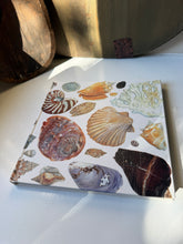 Load image into Gallery viewer, Pond Lake River Sea Book
