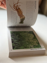 Load image into Gallery viewer, The Little Guides Herbs Book
