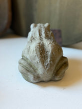 Load image into Gallery viewer, Concrete Frog
