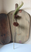 Load image into Gallery viewer, Long Needle Pine Stem
