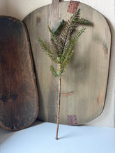Load image into Gallery viewer, Dark Green Pine Stem

