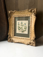 Load image into Gallery viewer, Botanical Needlepoint of Wild Blue Indigo Baptisia
