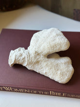 Load image into Gallery viewer, Vintage White Catspaw Coral
