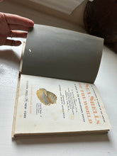 Load image into Gallery viewer, Sea Shells of the World Book
