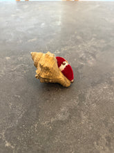Load image into Gallery viewer, Vintage Gold Shell Pin Holder
