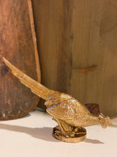 Load image into Gallery viewer, Gold Pheasant
