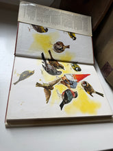 Load image into Gallery viewer, Gnomes Book
