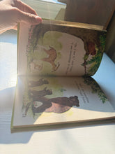 Load image into Gallery viewer, Where is Cubby Bear Book
