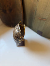 Load image into Gallery viewer, Turtle Shell on Stand
