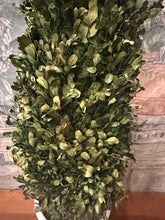 Load image into Gallery viewer, Dried Boxwood Cone Topiary
