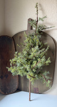 Load image into Gallery viewer, XL Pine Stem
