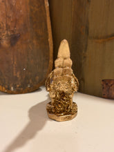Load image into Gallery viewer, Gold Pheasant
