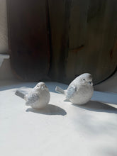 Load image into Gallery viewer, Glittery Snow Bird Set
