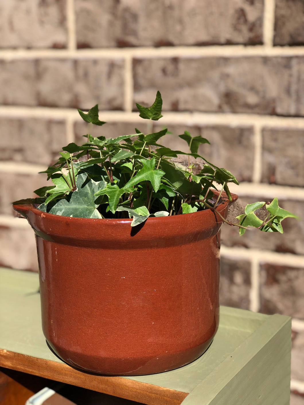 Brown Clay Planter Pot